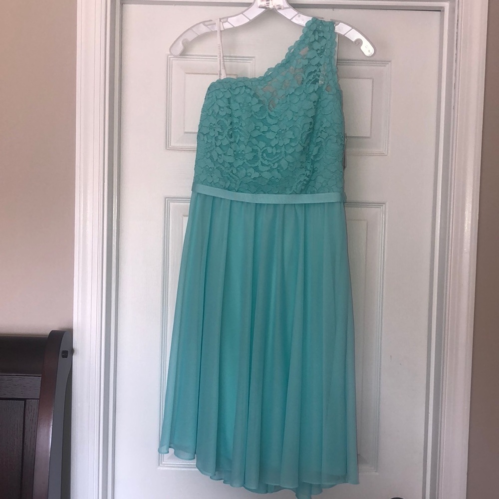 David’s bridal - bridesmaid dress